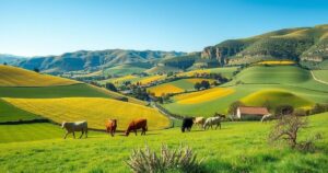 Paesaggio rurale di Sardegna con animali da allevamento e natura verdeggiante.